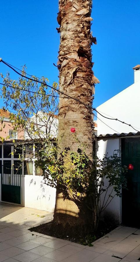 فندق Casa Da Forja بينهال نوفو المظهر الخارجي الصورة
